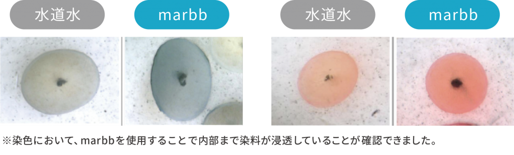 marbbのカラー剤による染色実験