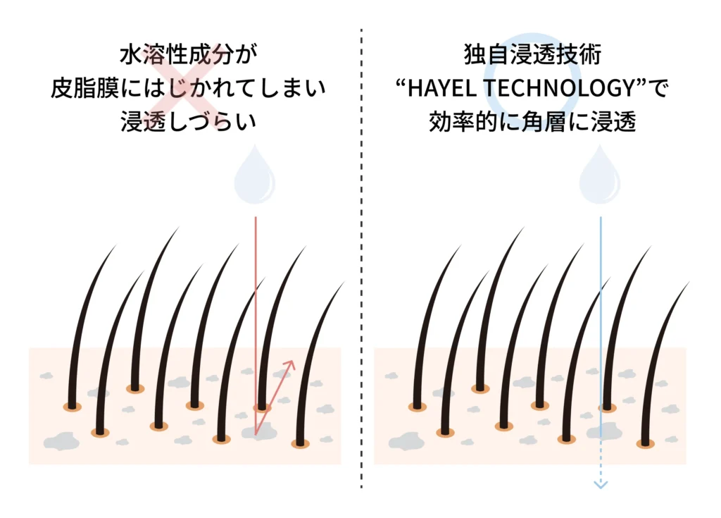 水溶性成分が 皮脂膜にはじかれてしまい 浸透しづらい 独自浸透技術 “HAYEL TECHNOLOGY”で 効率的に角層に浸透